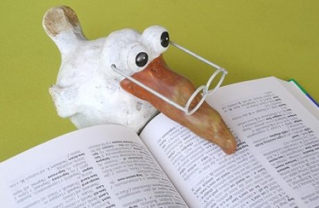 הלקסיקון המלא לכותבי התוכן