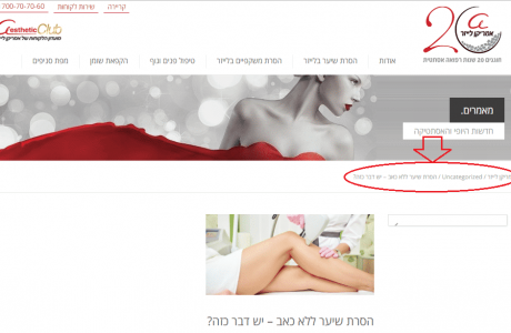 כתיבה של כותרות מתאימות ל"פירורי לחם"